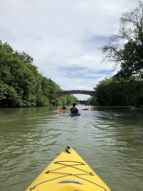 kayakers on the Genesee River
