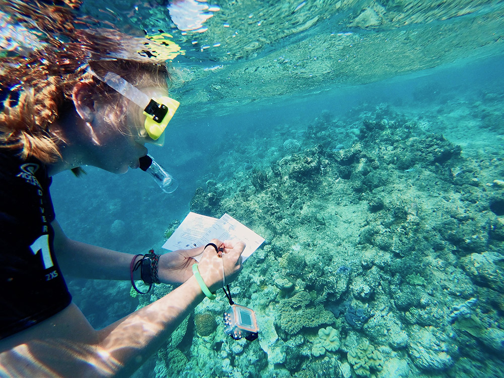 person taking notes underwater