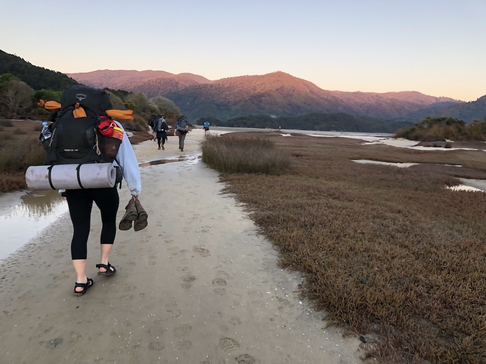 backpackers walking along a path in New Zealand
