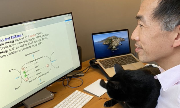 Dragony Fu seated at his desk, looking at computer monitor, with cat on lap.