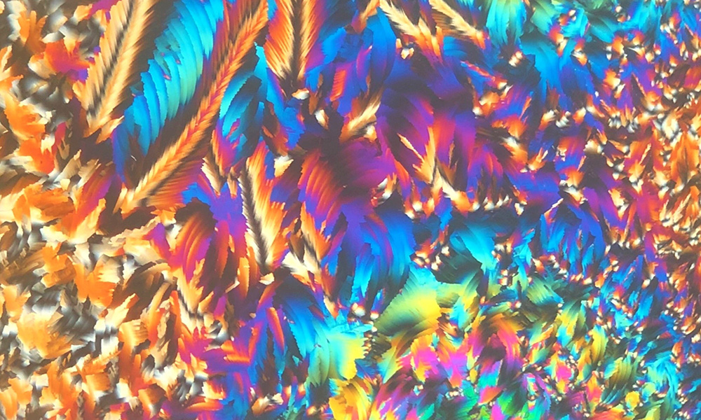 feather-like display of crystals under a microscope