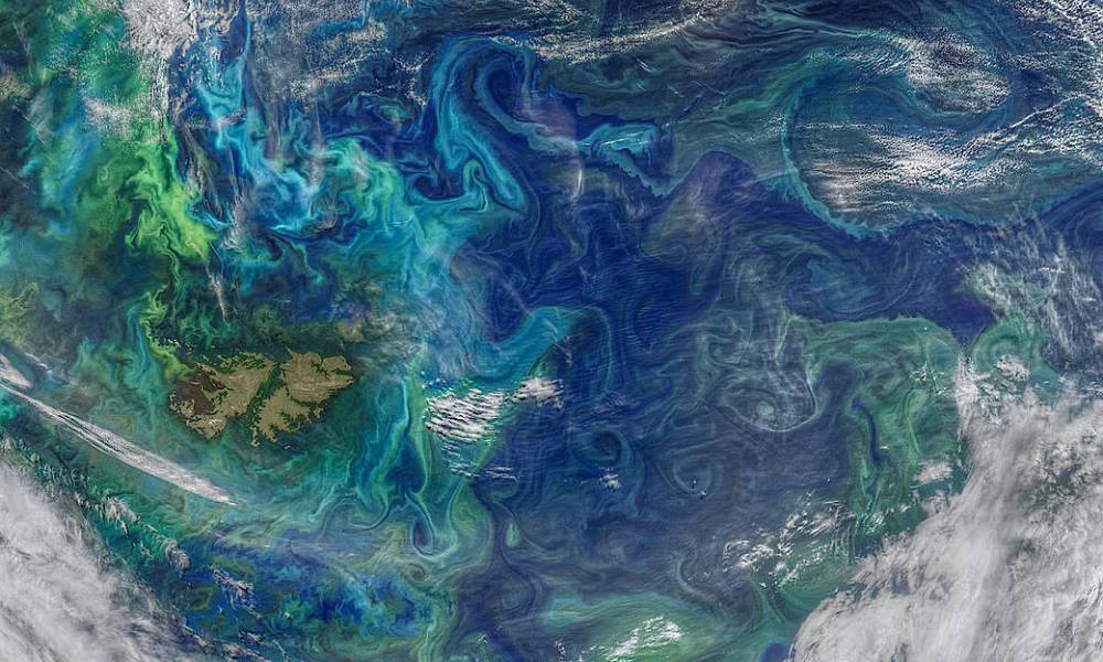 Aerial view of eddies and small currents creating swirling patterns of phytoplankton blooms shown in green and light blue.