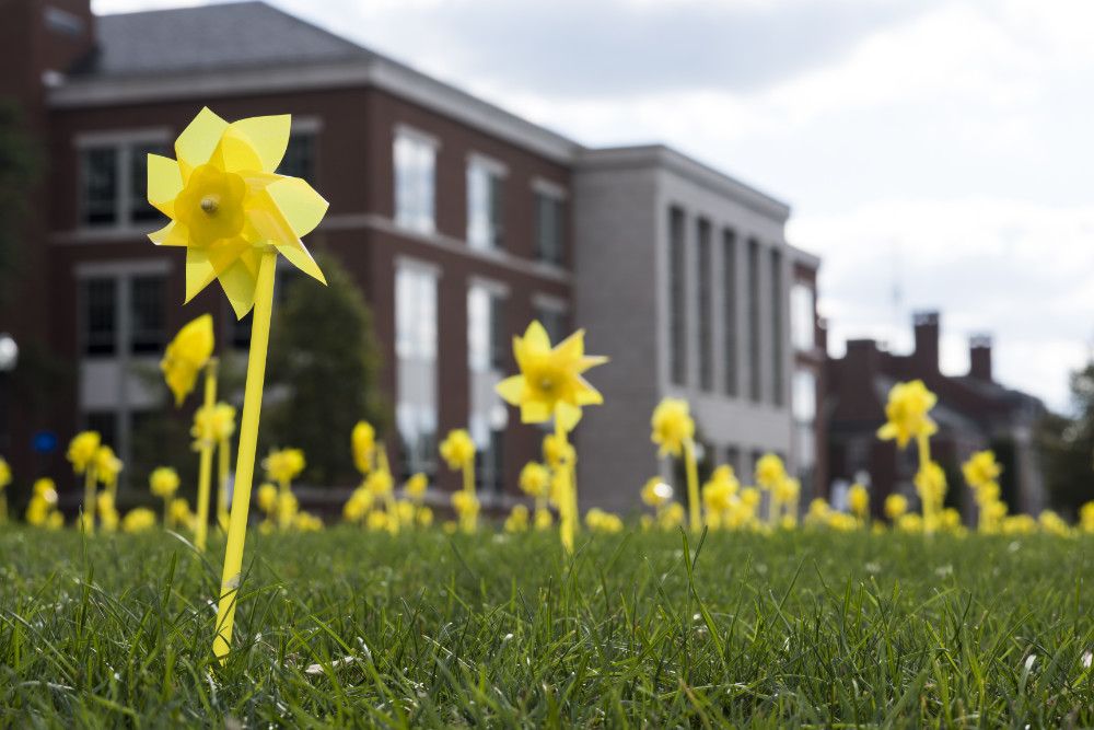 Yellow pinwheels on campus bring awareness to mental health of college students.