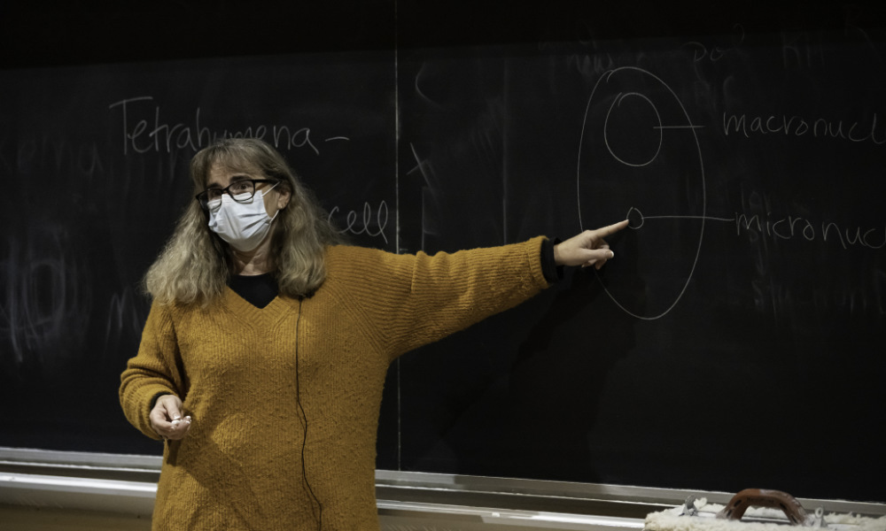 Elaine Sia in a mask points at a figure on the blackboard.