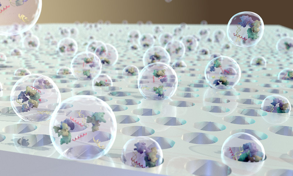 Illustration of porous nanomembrane catching bubble-like extracellular vesicles.