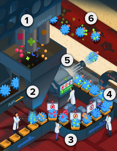 Illustration of the numbered steps on an assembly line process to create micheliolide analog nanoparticles.