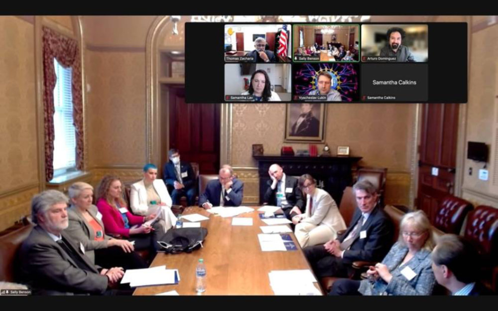 Screen shot of the summit participants via Zoom.