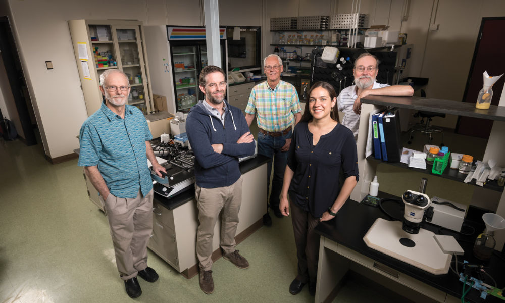 Five Rochester biologists in a lab.