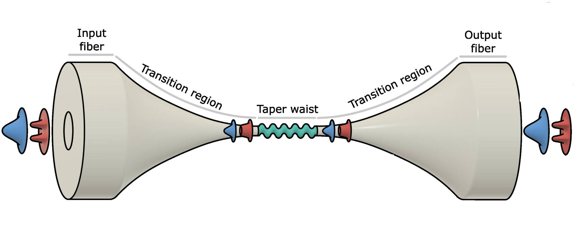 illustration of a tapered optical fiber created by University of Rochester researchers.