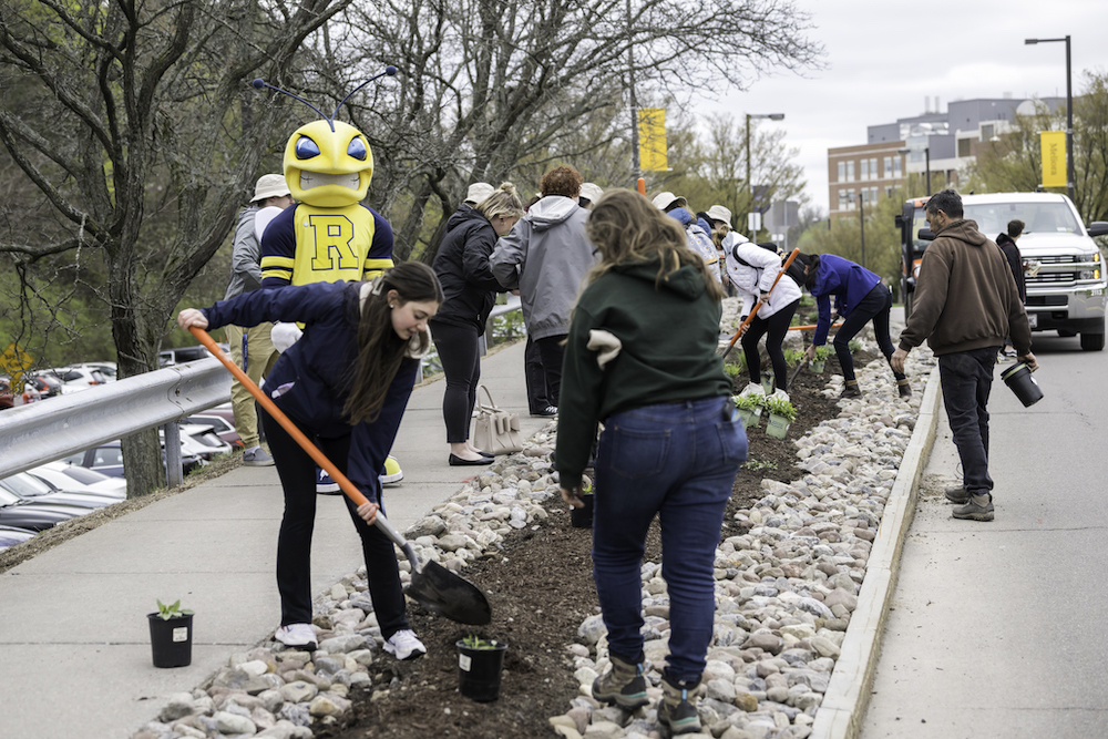 Group of students and person dressed as University mascot Rocky work with shovels to plant pollinator garden along campus drive.