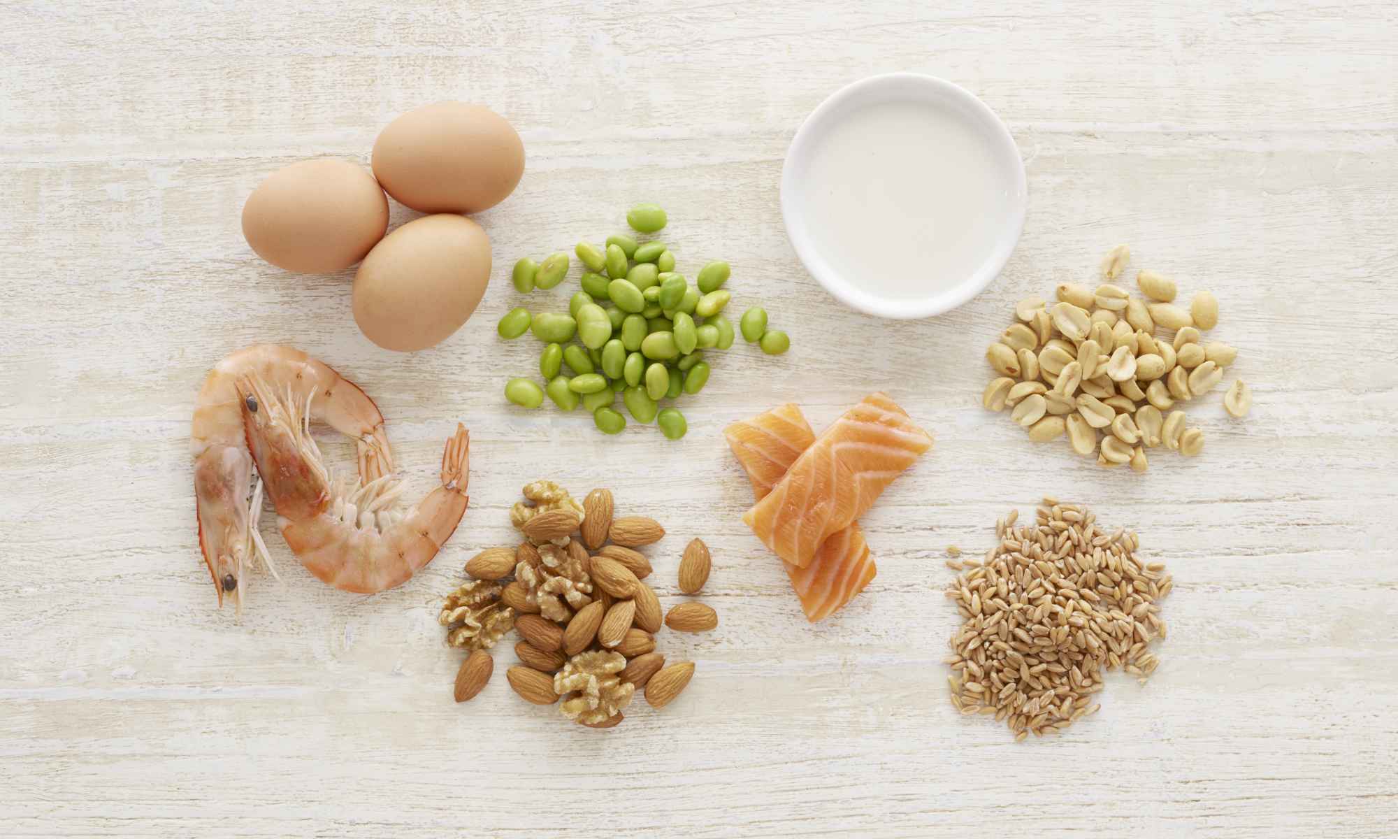 Overhead photo of various foods—eggs, shrimp, nuts, salmon, lima beans, milk, peanuts, and brown rice—grouped by type to illustrate nutrient separation of proteins, fats, and carbohydrates.