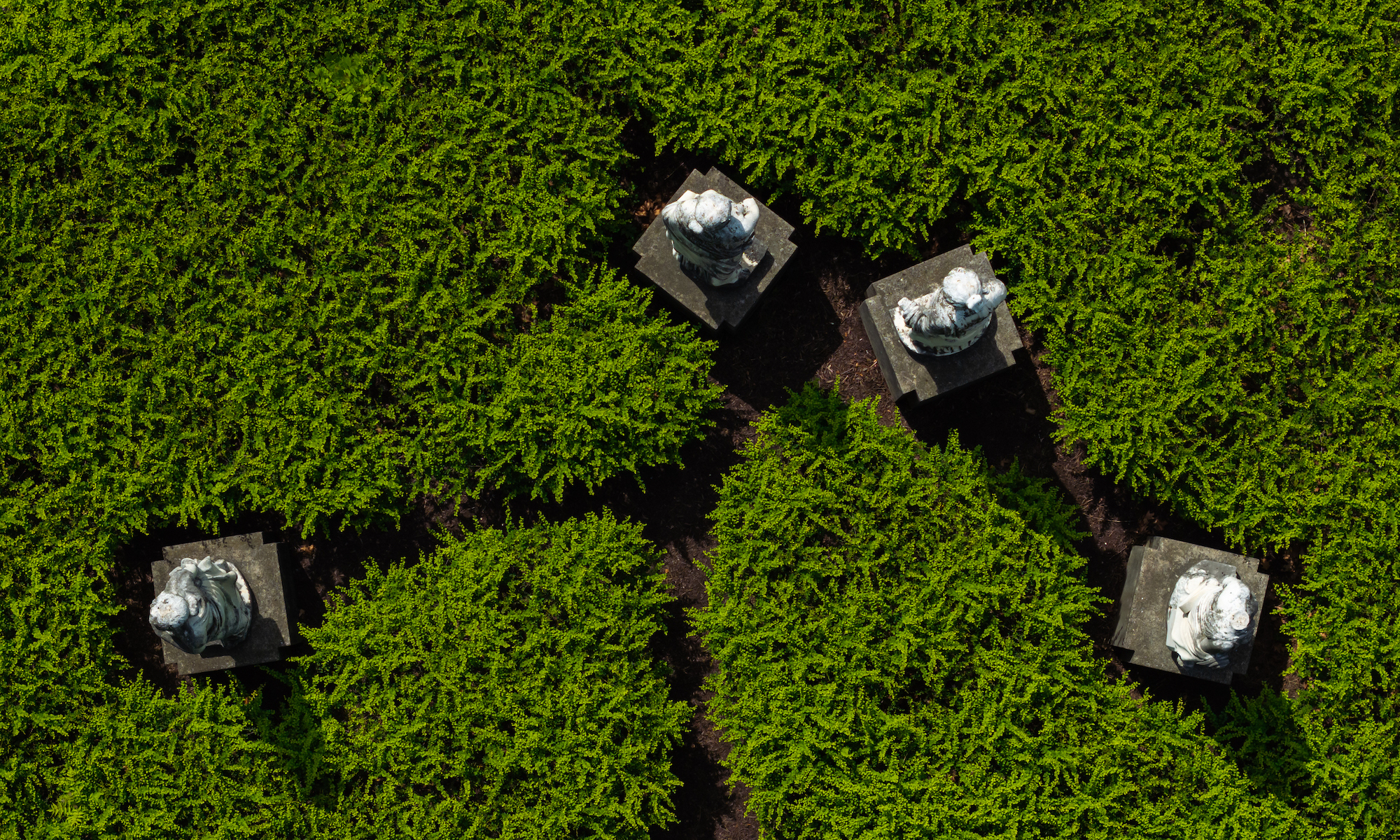 Muse statues surrounded by greenery next to Rush Rhees Library are seen via aerial drone