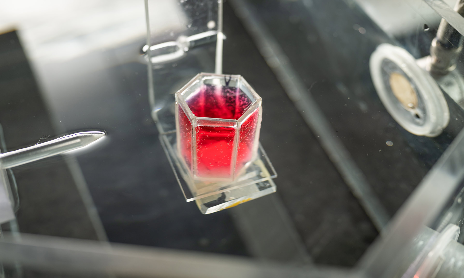 A hexagonal-shaped vial holding red hydrogel-like material on display in a lab apparatus exploring the possibilities of biomedical ultrasound technology.