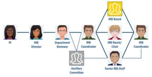 The flow of an IRB submission through the review process, from submission by the Principal Investigator, to Department Review, to Ancillary Committee Review, to the IRB Coordinator and respective board review pathway.