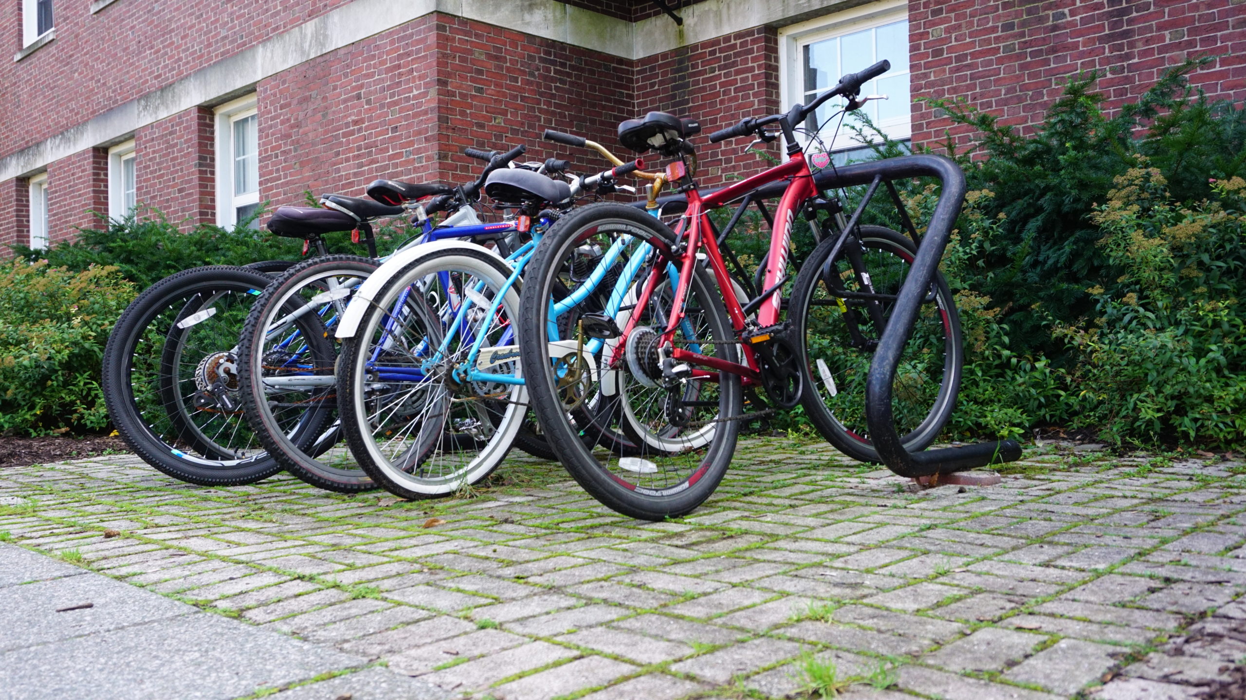 Bikes parked in racks at the University of Rochester.