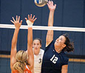 photo of volleyball