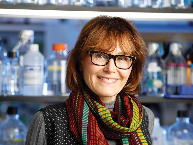 lynne maquat: attacking a pandemic, one rna strand at a time