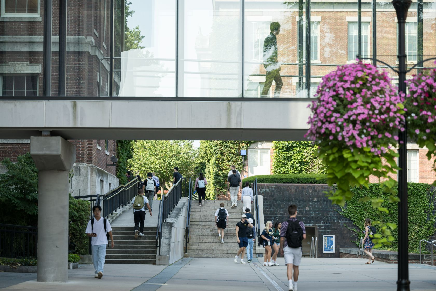 Students walking under a glass walkway bridge on a university campus, with a hanging basket of pink flowers in the foreground.