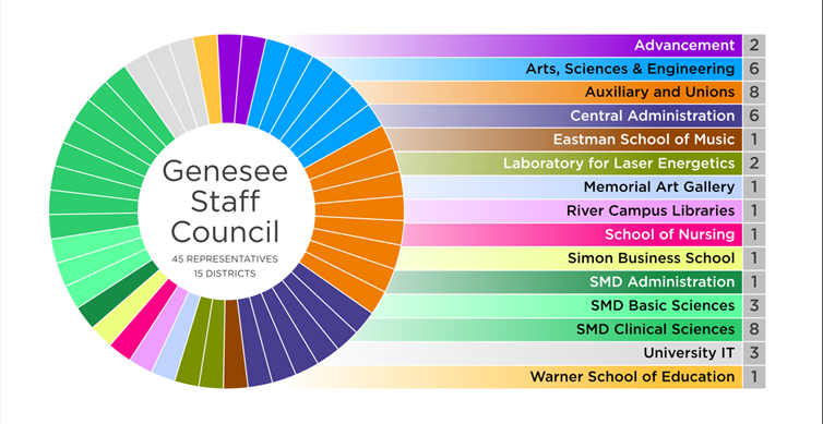 Chart showing representation of the staff council.