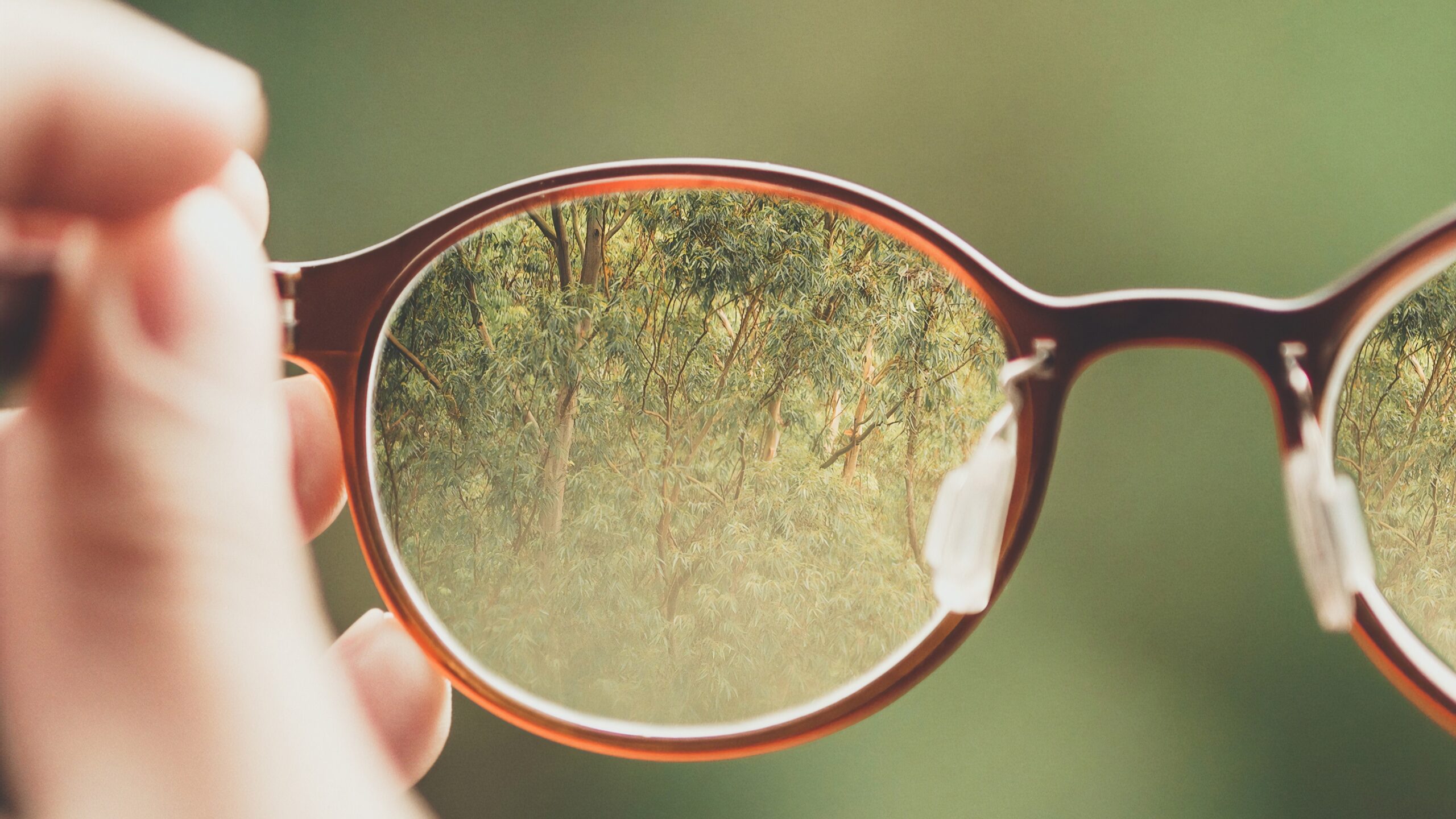 A pair of eyeglasses being held up, reflecting a forest through the lens