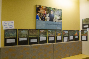 A wall showing student work researching a place changing over time.